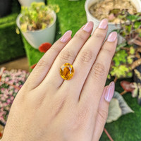 6.55 Ct. Orangish Yellow Citrine from Ceylon (Sri Lanka) Life Style