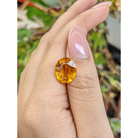 6.00 Ct. Orangish Yellow Citrine from Ceylon (Sri Lanka) Life Style