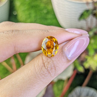 4.87 Ct. Yellow Citrine from Ceylon (Sri Lanka) Life Style