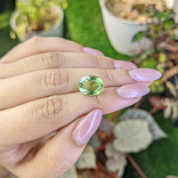 5.59 Ct. Yellowish Green Prasiolite from Brazil Life Style