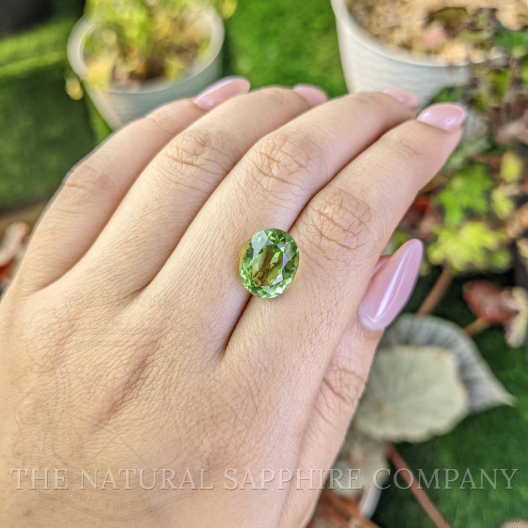 5.59 Ct. Yellowish Green Prasiolite from Brazil