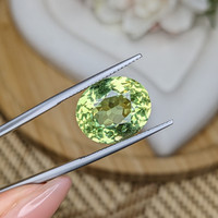 10.19 Ct. Yellowish Green Prasiolite from Brazil Life Style