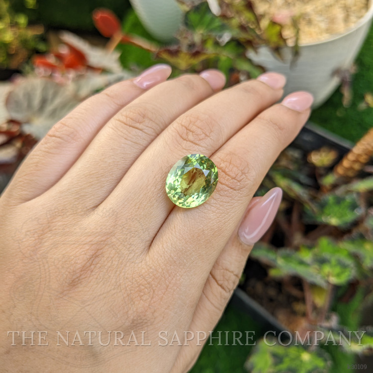 10.19 Ct. Yellowish Green Prasiolite from Brazil