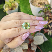 10.19 Ct. Yellowish Green Prasiolite from Brazil Life Style