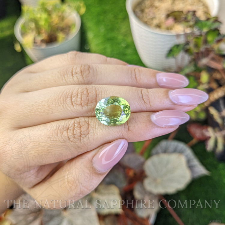 10.19 Ct. Yellowish Green Prasiolite from Brazil