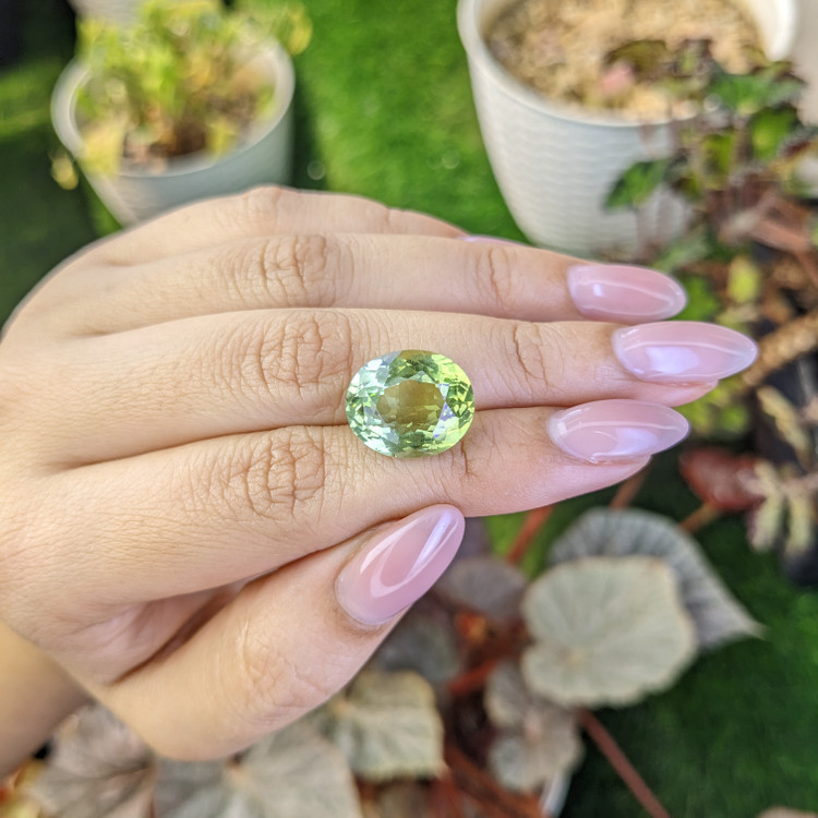 10.19 Ct. Yellowish Green Prasiolite from Brazil