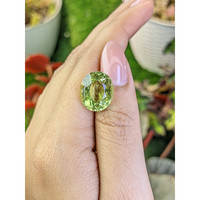 10.19 Ct. Yellowish Green Prasiolite from Brazil Life Style