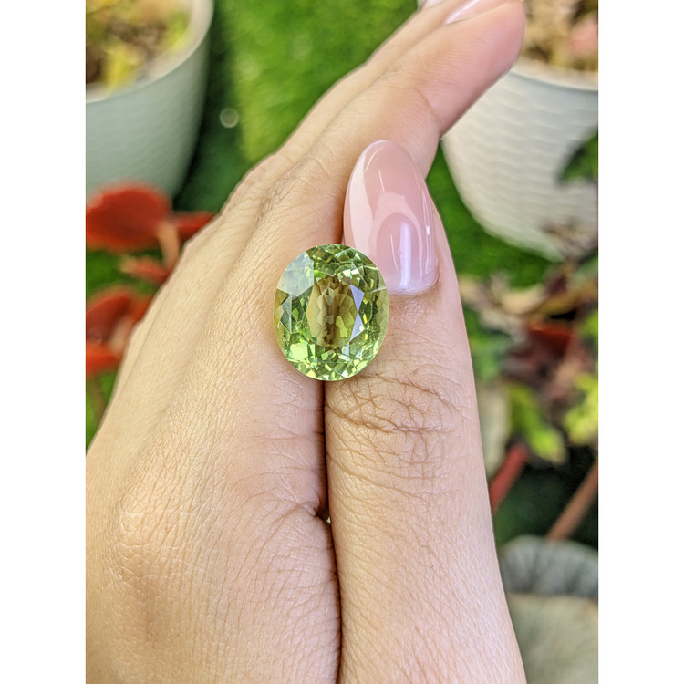 10.19 Ct. Yellowish Green Prasiolite from Brazil