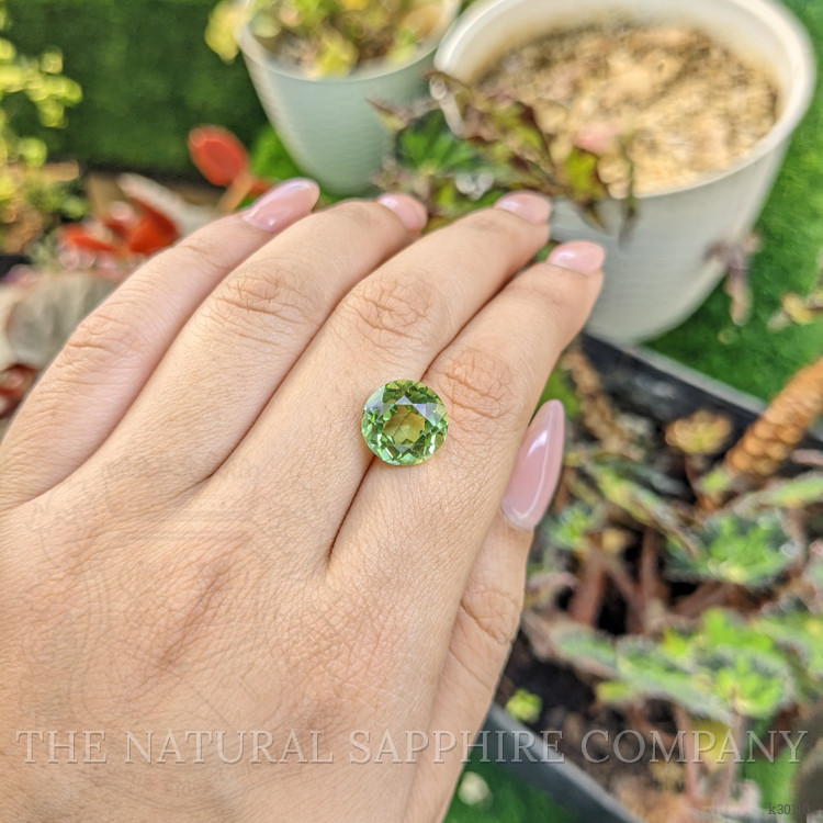 5.63 Ct. Yellowish Green Prasiolite from Brazil