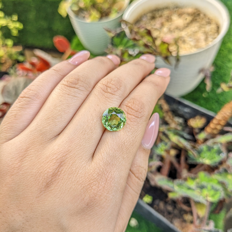 5.63 Ct. Yellowish Green Prasiolite from Brazil