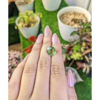 5.63 Ct. Yellowish Green Prasiolite from Brazil Life Style