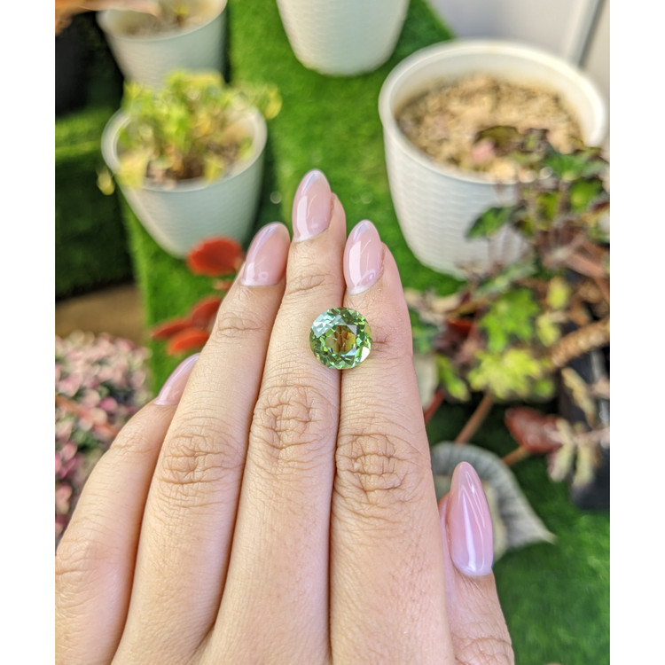 5.63 Ct. Yellowish Green Prasiolite from Brazil