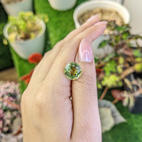 5.81 Ct. Green Prasiolite from Brazil Life Style