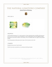 6.15 Ct. Yellowish Green Prasiolite from Brazil Appraisal