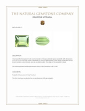 5.60 Ct. Yellowish Green Prasiolite from Brazil Appraisal
