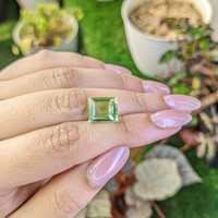 5.60 Ct. Yellowish Green Prasiolite from Brazil Life Style