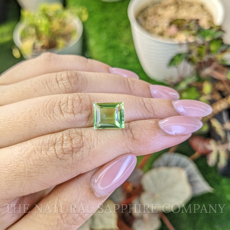5.60 Ct. Yellowish Green Prasiolite from Brazil
