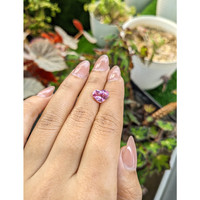 3.09 Ct. Pink Spinel from Ceylon (Sri Lanka) Life Style