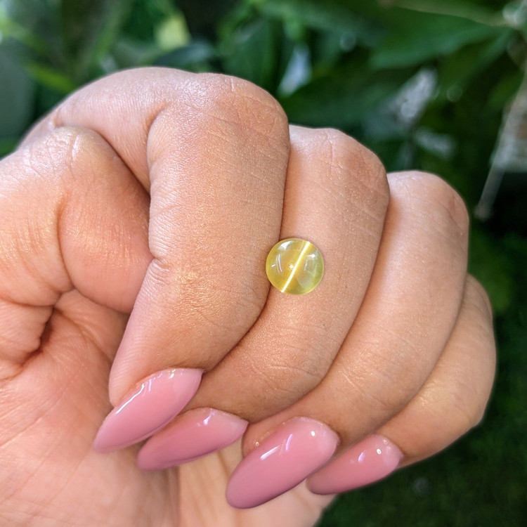 2.62 Ct. Greenish Yellow Cabochon Chrysoberyl from Tanzania