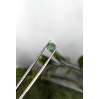 0.62 Ct. Multi Color Cabochon Black Opal (Dark Opal) from Australia Life Style