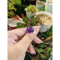 12.59 Ct. Purple Amethyst from Ceylon (Sri Lanka) Life Style