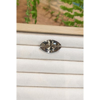 16.88 Ct. Brown Smoky Quartz from Brazil Life Style