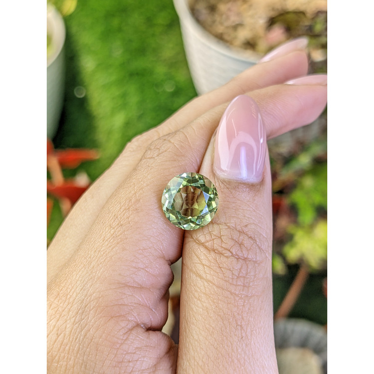 5.03 Ct. Yellowish Green Prasiolite from Brazil