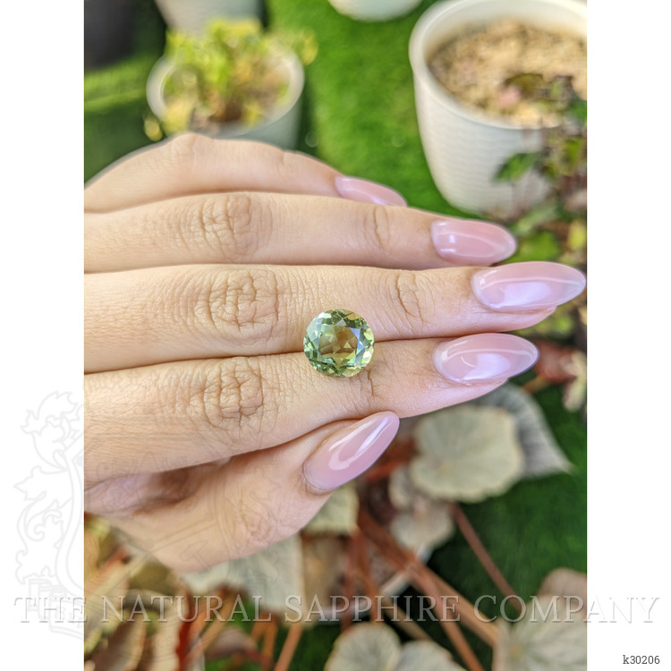 5.03 Ct. Yellowish Green Prasiolite from Brazil