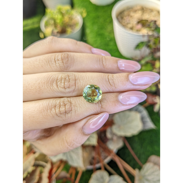 5.03 Ct. Yellowish Green Prasiolite from Brazil