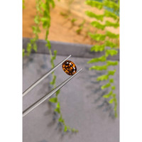3.72 Ct. Orangish Brown Zircon from Ceylon (Sri Lanka) Life Style