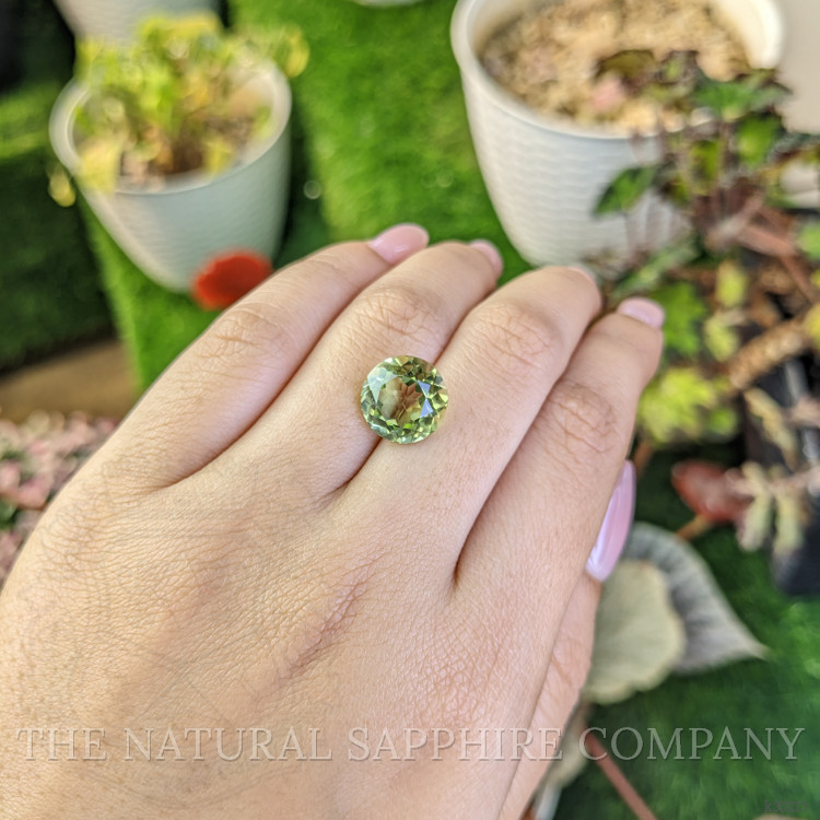 6.03 Ct. Yellowish Green Prasiolite from Brazil