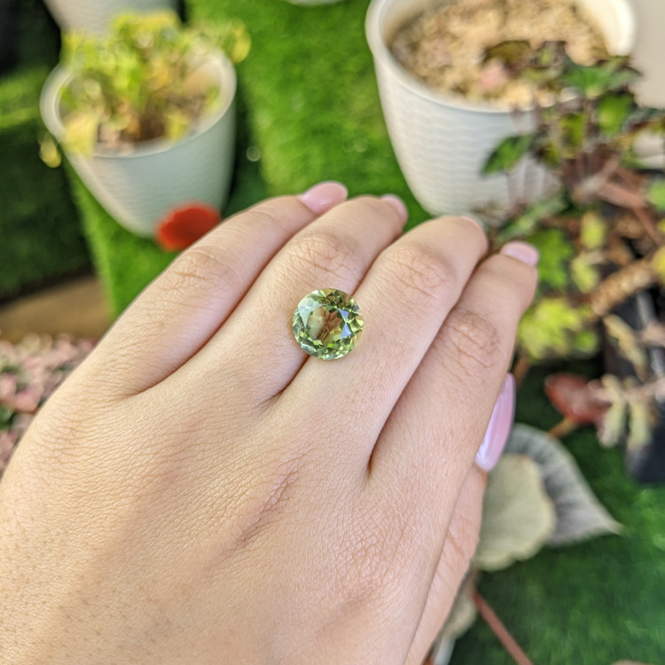 6.03 Ct. Yellowish Green Prasiolite from Brazil