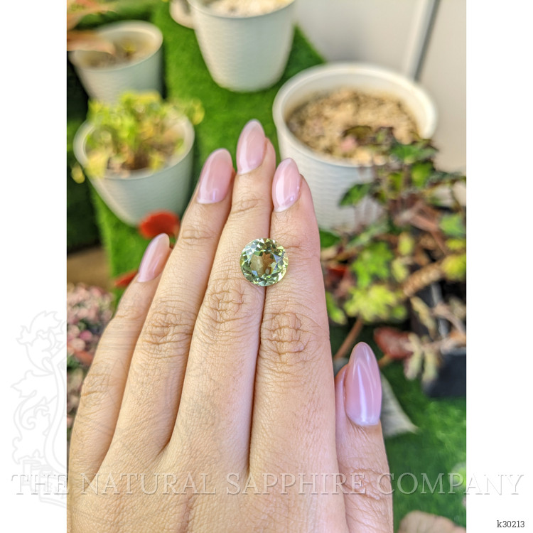 6.03 Ct. Yellowish Green Prasiolite from Brazil