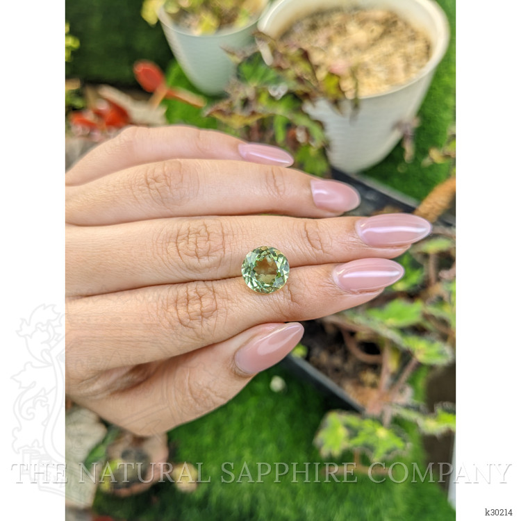 5.19 Ct. Yellowish Green Prasiolite from Brazil