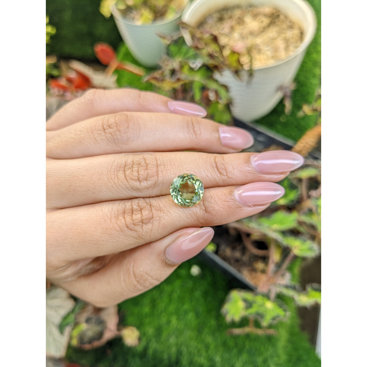 5.19 Ct. Yellowish Green Prasiolite from Brazil
