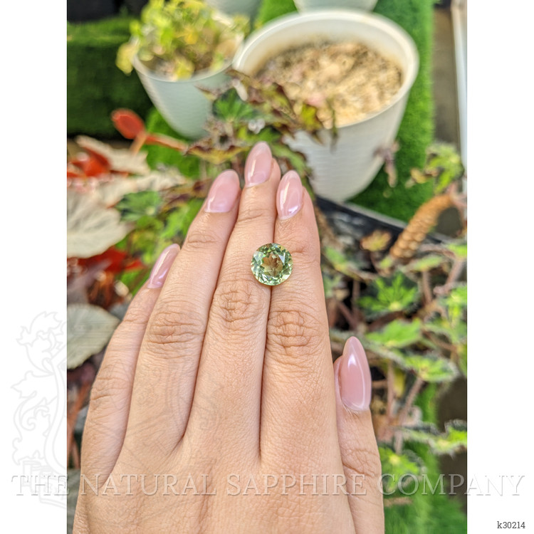 5.19 Ct. Yellowish Green Prasiolite from Brazil
