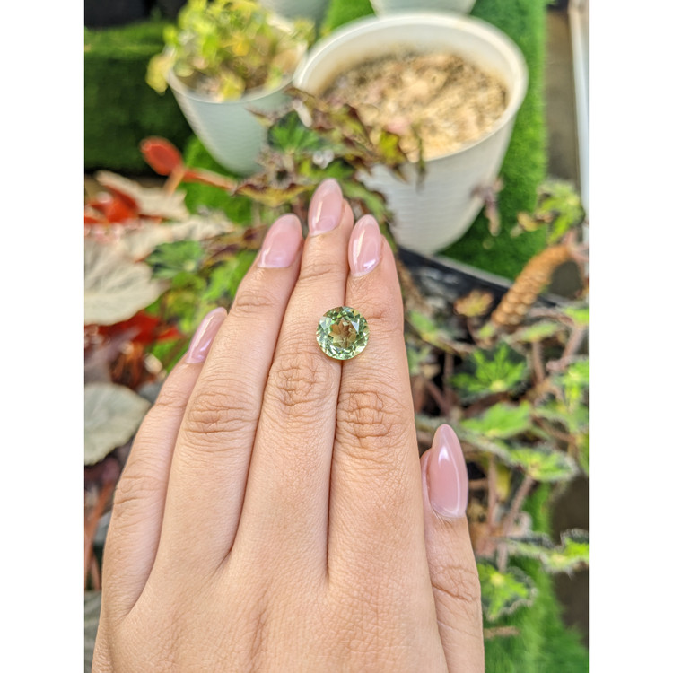 5.19 Ct. Yellowish Green Prasiolite from Brazil