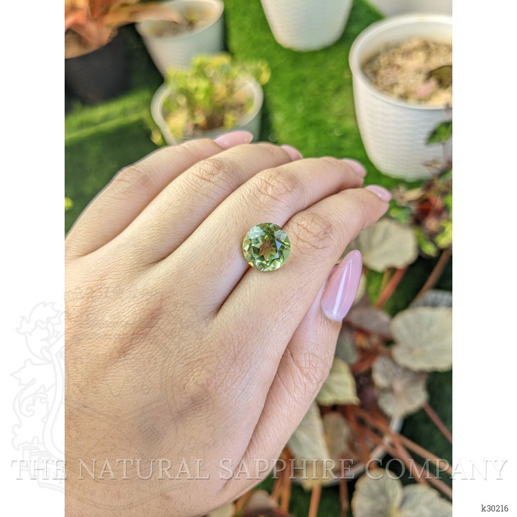 5.69 Ct. Yellowish Green Prasiolite from Brazil