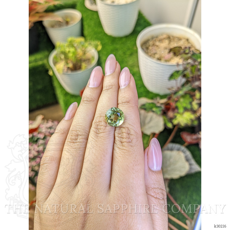 5.69 Ct. Yellowish Green Prasiolite from Brazil