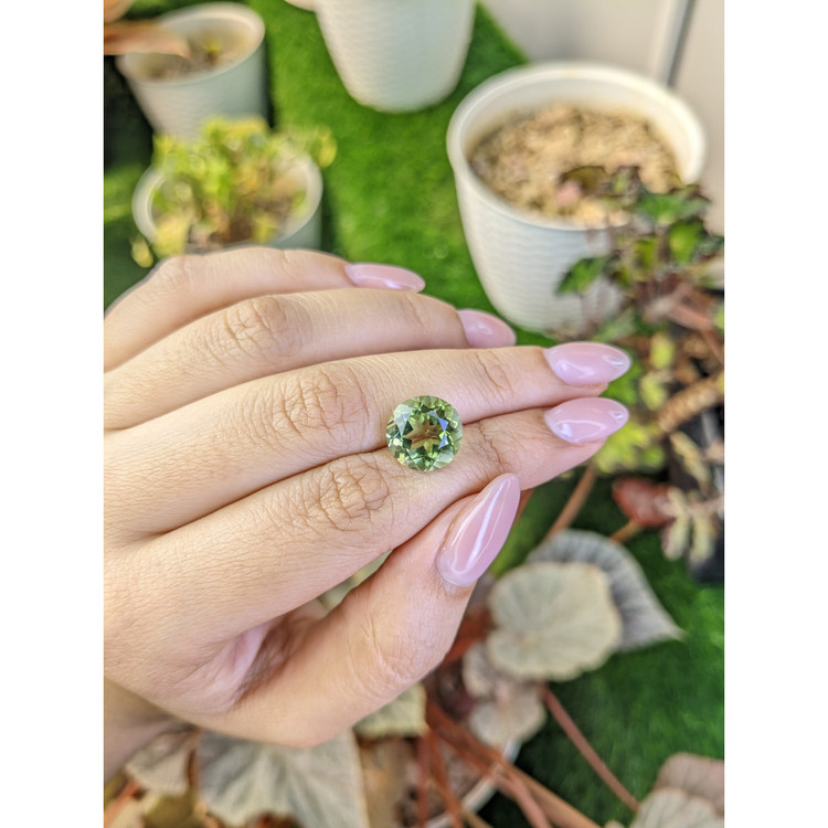 5.69 Ct. Yellowish Green Prasiolite from Brazil