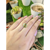 5.49 Ct. Lemon Quartz from Brazil Life Style