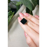 17.14 Ct. Tourmaline from Brazil Life Style