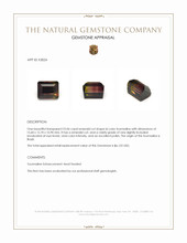 22.06 Ct. Bi Color Tourmaline from Brazil Appraisal