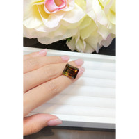 22.06 Ct. Tourmaline from Brazil Life Style