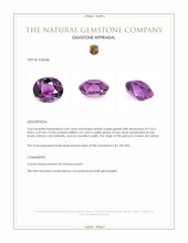 3.54 Ct. Pinkish Purple Garnet from Ceylon (Sri Lanka) Appraisal
