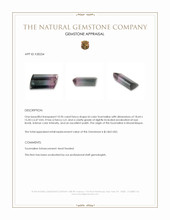 10.96 Ct. Bi Color Tourmaline from Mozambique Appraisal