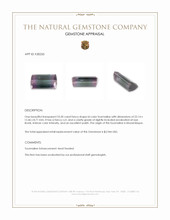 23.20 Ct. Bi Color Tourmaline from Mozambique Appraisal