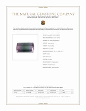 23.20 Ct. Bi Color Tourmaline from Mozambique Scan Report