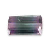 23.20 Ct. Bi Color Tourmaline from Mozambique Video
