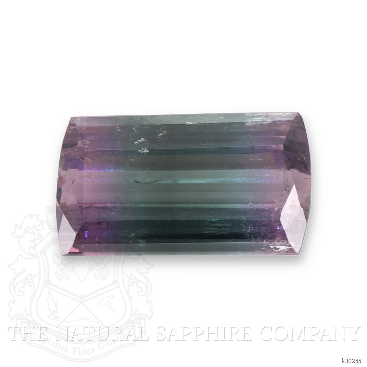 23.20 Ct. Bi Color Tourmaline from Mozambique